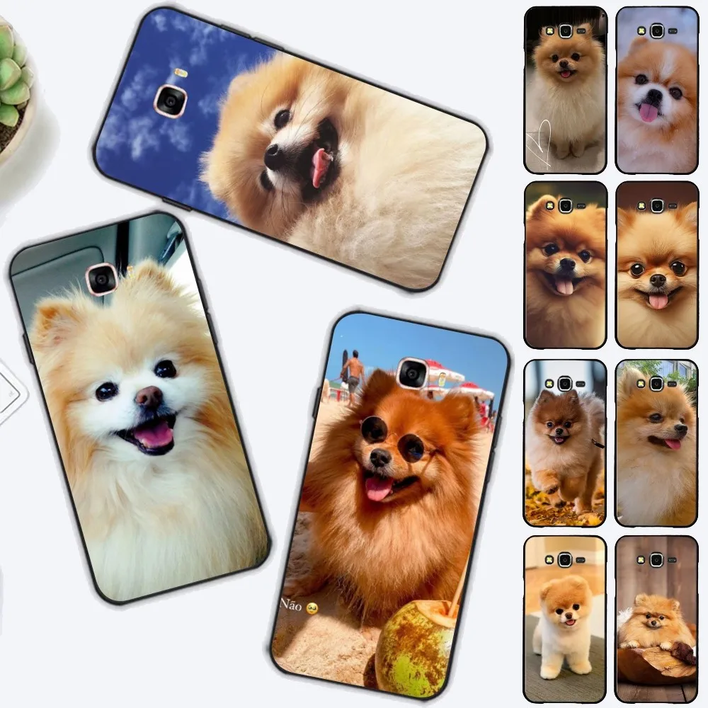 Cute Pomeranian Dogs Phone Case For Samsung J 7 plus 7core J7 neo J6 plus prime J6 J4 J5 Mobile Cover