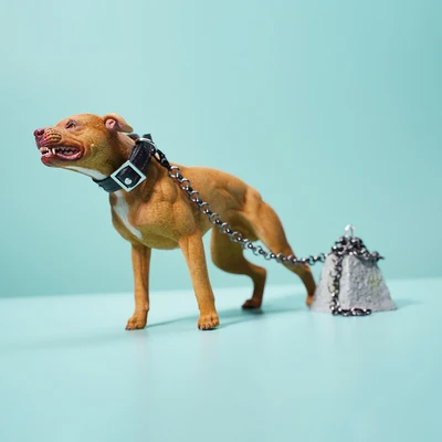Jxk129 1/6 Scale Dog American Pit Bull Terrier Pet Dog Resin Scene