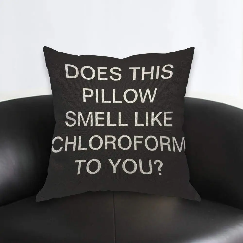 Funny Text Pillow Cover, Does This Pillow Smell Like Chloroform Cushion Case, Novelty Home Decor, Humor Gift Idea