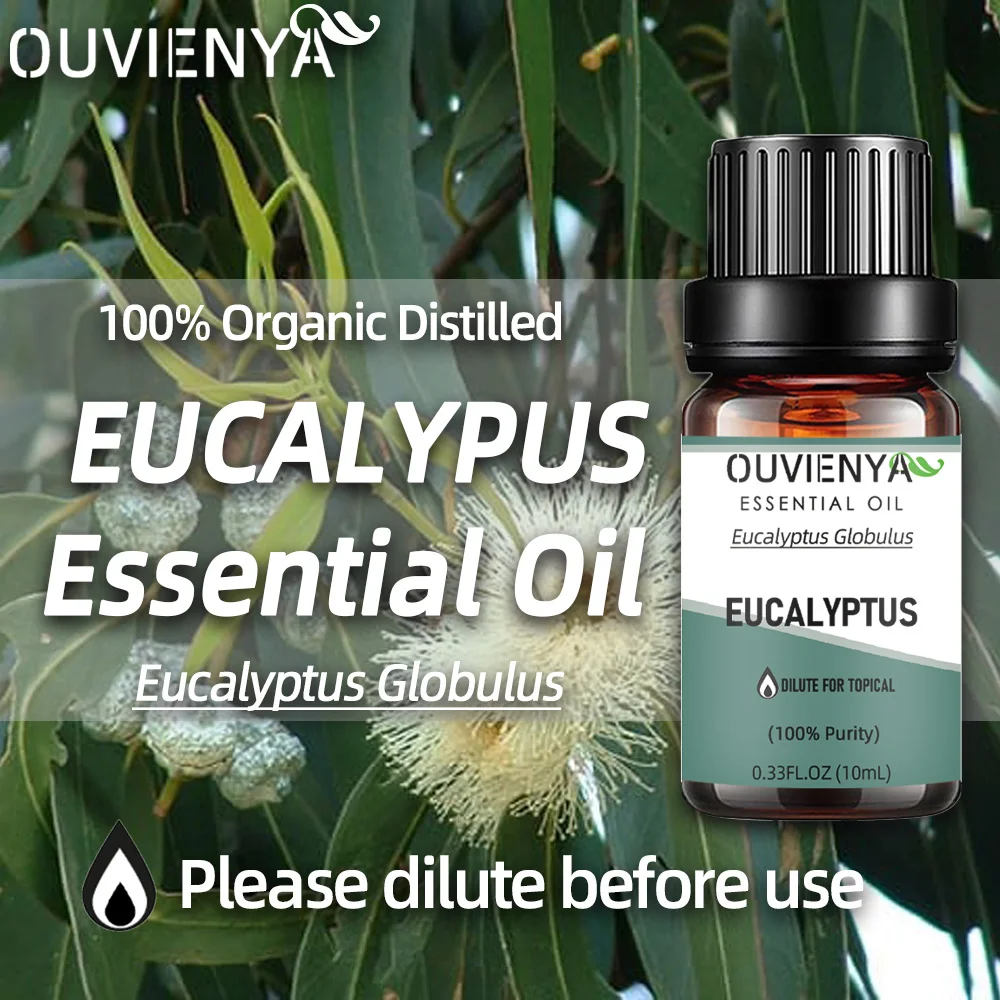 Natural distillate from Eucalyptus Globulus 10ml Eucalyptus essential oil for fresh breath by aroma and dilute for skin care