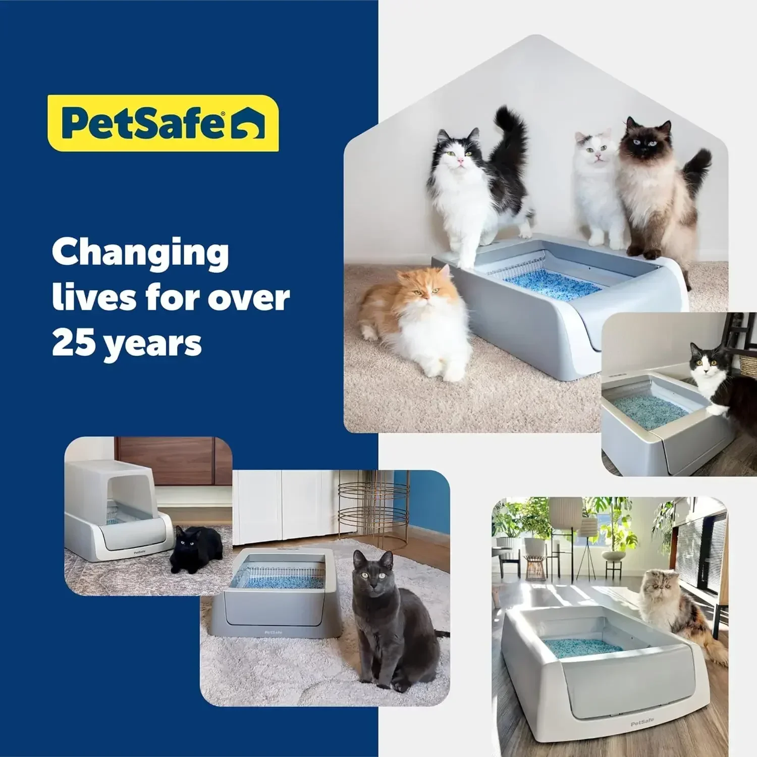 PetSafe ScoopFree Crystal Litter Tray Nachfüllungen – Lavendelkristalle, 6er-Pack – Einwegtablett, absorbiert Gerüche bei Kontakt in den USA