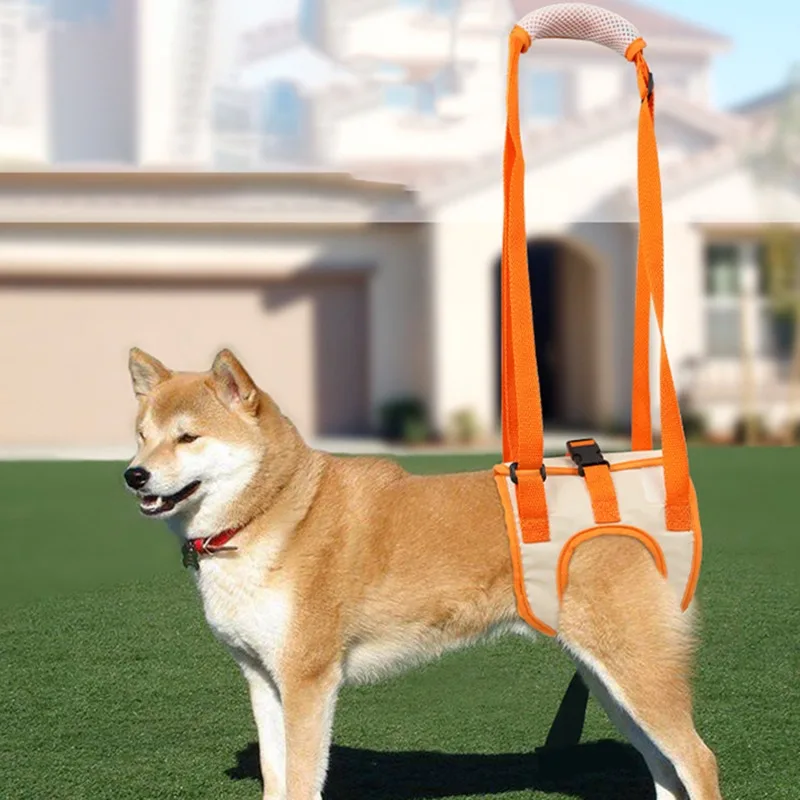 Useful Pet Traction…