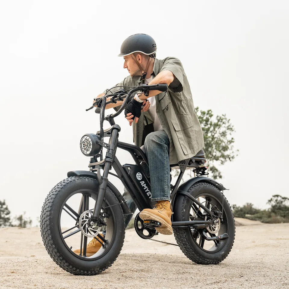 1500W 48V 20AH Electric Bike 20" Fat Tire All Terrain Ebike E-Bicycle US
