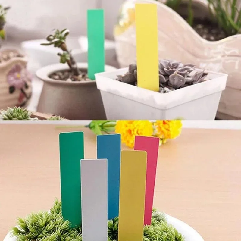 2026 100Pcs/Set Waterproof Plant Flower Label Succulent Small Label Marking Garden Label Decoration Tool