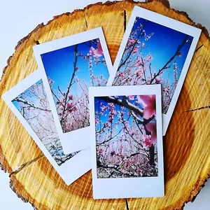 Fujifilm-mini, fotoğraf kağıdı, ınstax kamera, anında ve 12 film, beyaz, 3 inç, 7 + 11 9 25 40 70 90 lomo bağlantısı 10/40/50 sayfa 8 en çok satılan-lomography-film-no. 7