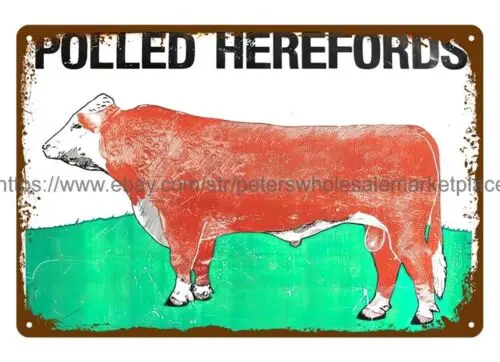 Befragte Hereford's Kuh Stier Vieh Vieh Farm Metall Zinn Zeichen Raum Wand dekoration