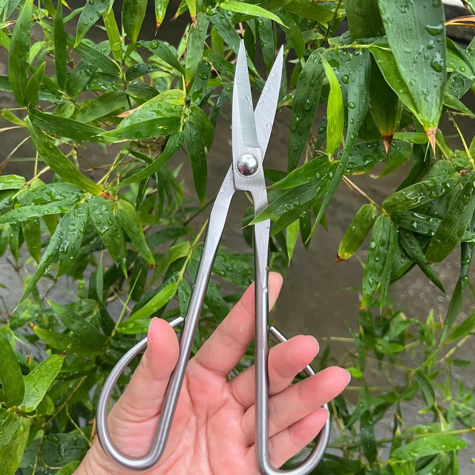 กรรไกรตัดกิ่งเหล็กกล้าทั้งหมด  - Gardening Tools Japanese บทวิจารณ์และราคา
