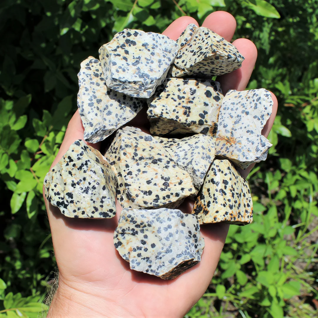 Natural Dalmatian Stone Raw Rough Stone Healing Crystal Mineral Specimen for Home Decor