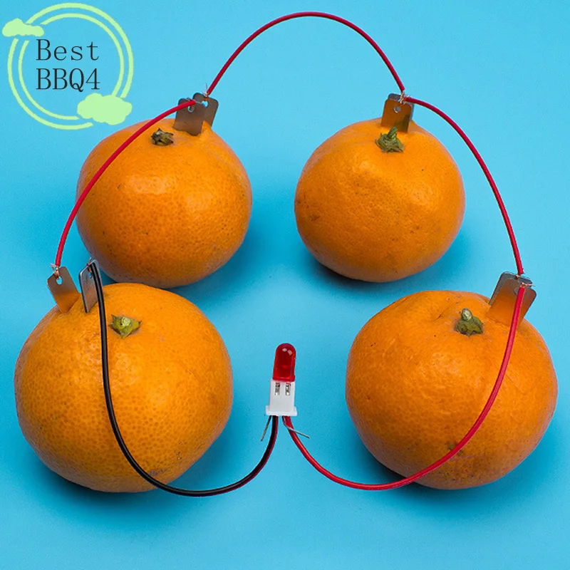 (BBQ4)1 Set Children Bio Energy Science Kit Potato Fruit Supply Electricity Experiments Kids Student Learining