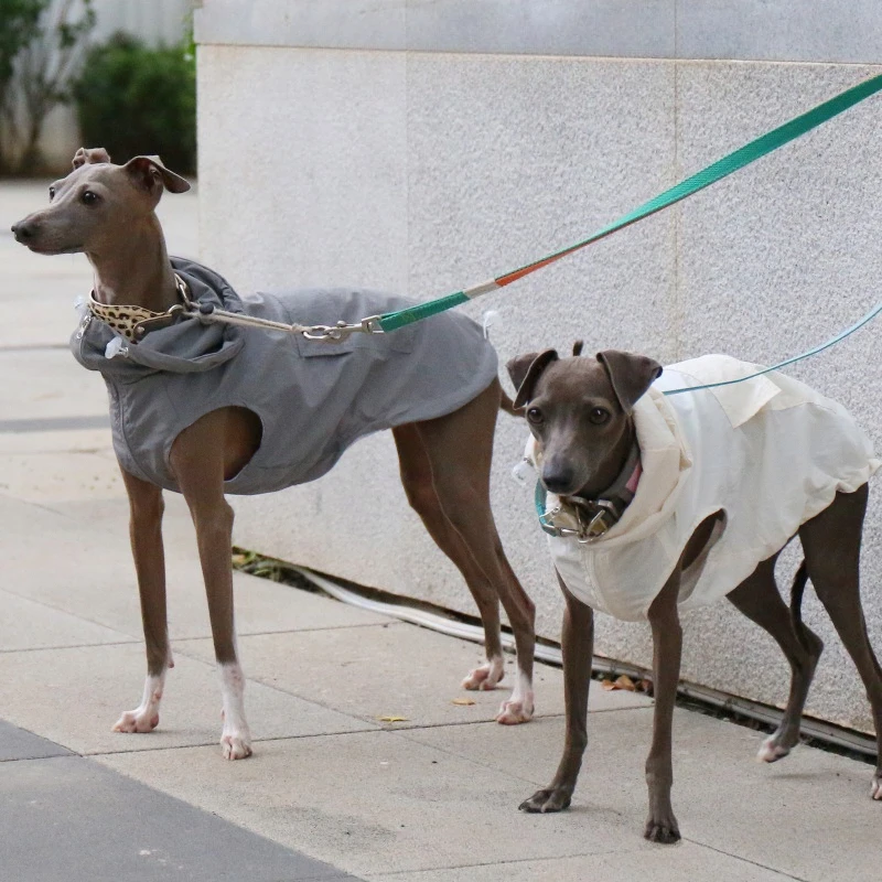 Summer Italian Little Greyhound Dog Coats Huibit Bellington Waterproof Vest Translucent Thin Version Dog Clothes Pet Products