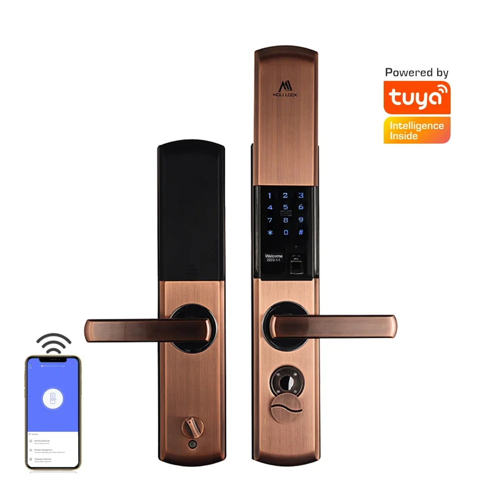 

High Quality Intelligent Indoor Smart Hidden Door Lock Tuya App Smart Home Door Locks