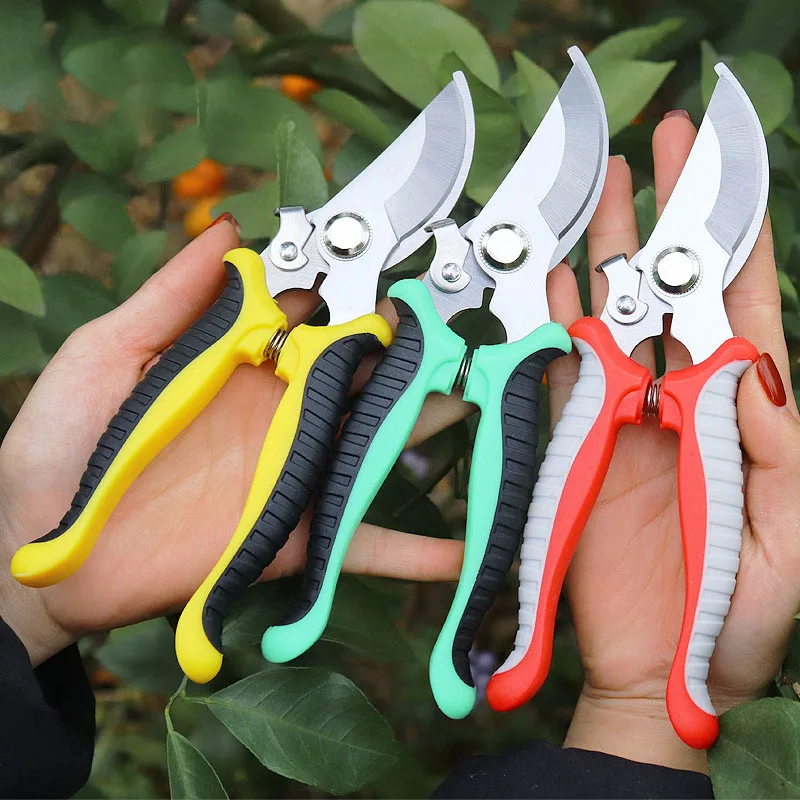 

Pruner Garden Scissors Professional Sharp Bypass Pruning Shears Tree Trimmers Secateurs Hand Clippers For Garden Beak Scissors