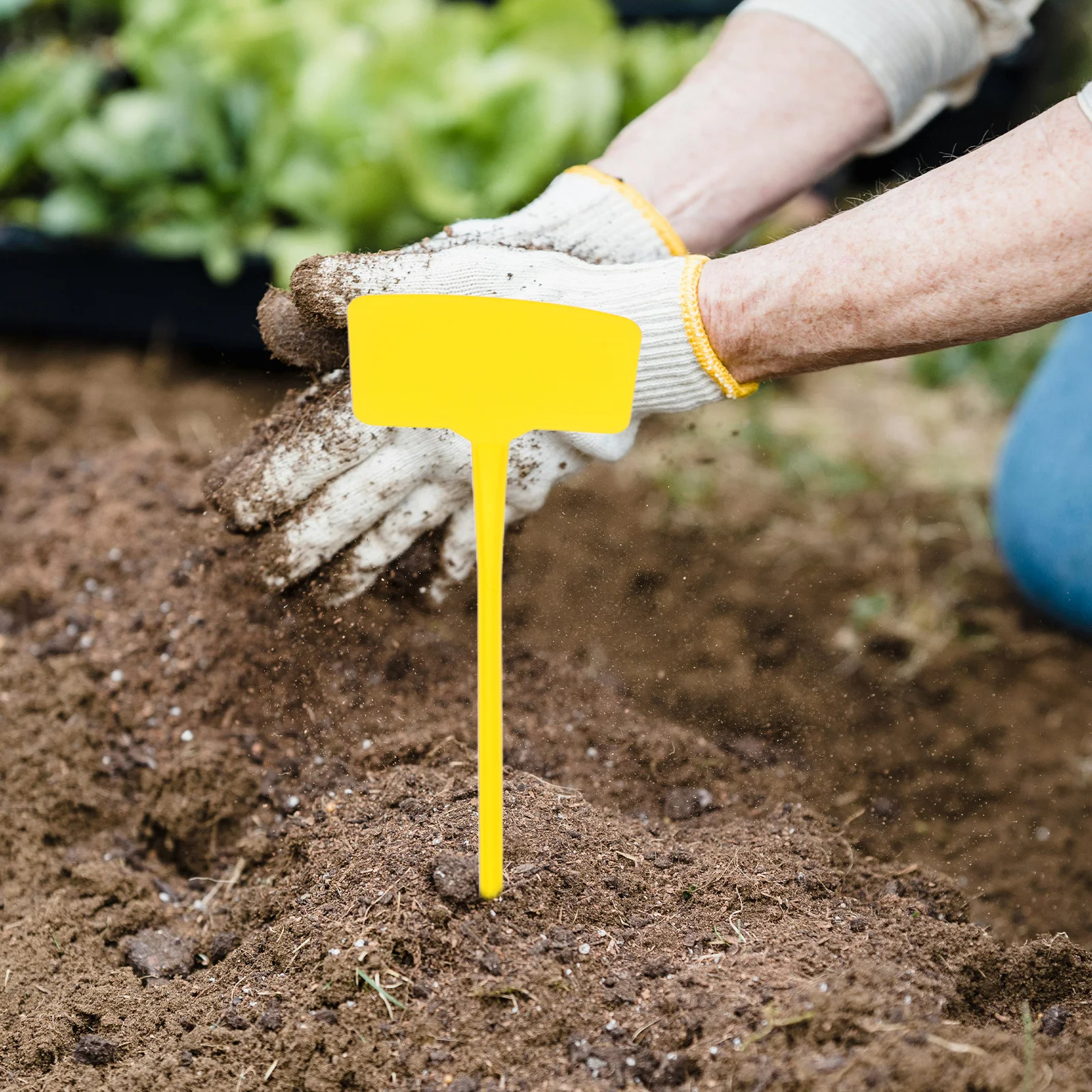 

10Pcs Garden Label Stakes Weather Resistant Plastic Plant Markers for Outdoor Gardening Herb Flower Vegetable Identification