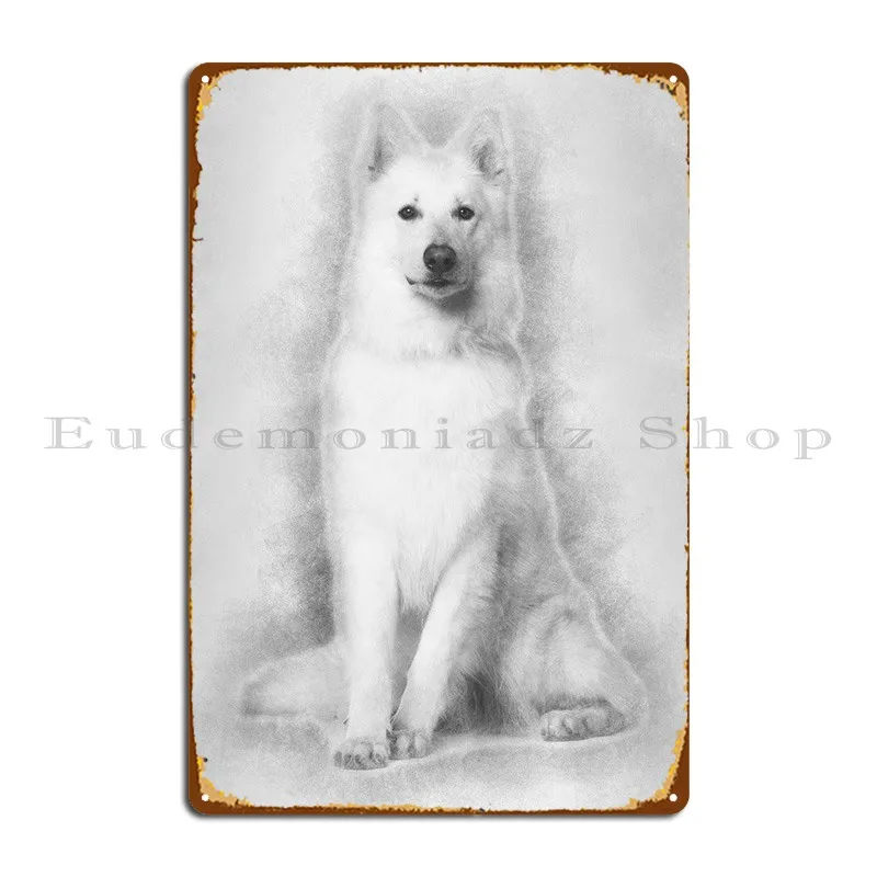 Swiss Shepherd Dog 3 Years Metal Plaque Poster Cinema Kitchen Cave Designs Cinema Tin Sign Poster