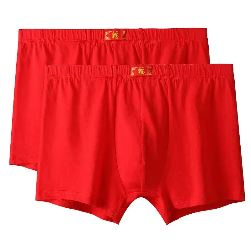 Men's Pure Cotton Triangle Underwear 2/3/5 Pcs Mid Rise Breathable Summer Sexy Soft Comfortable Young Men's Briefs