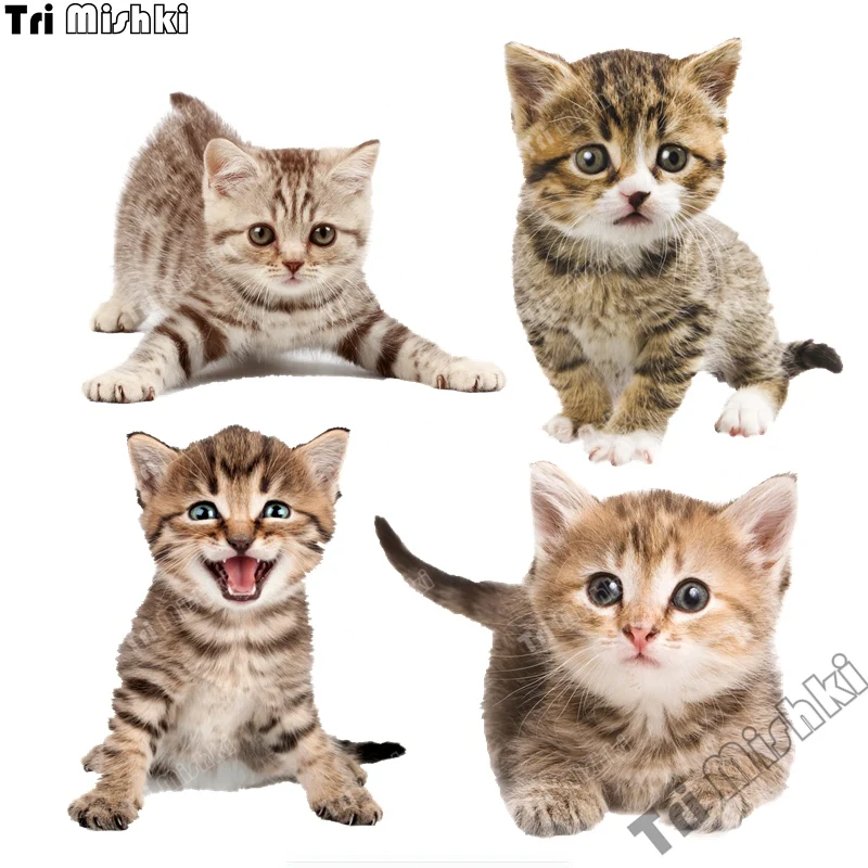 Tri koshki WCS513 Lovely Cat Wall Sticker Waterproof Decal PVC Decoration Home Decor Kids Room Door Living Room Toile