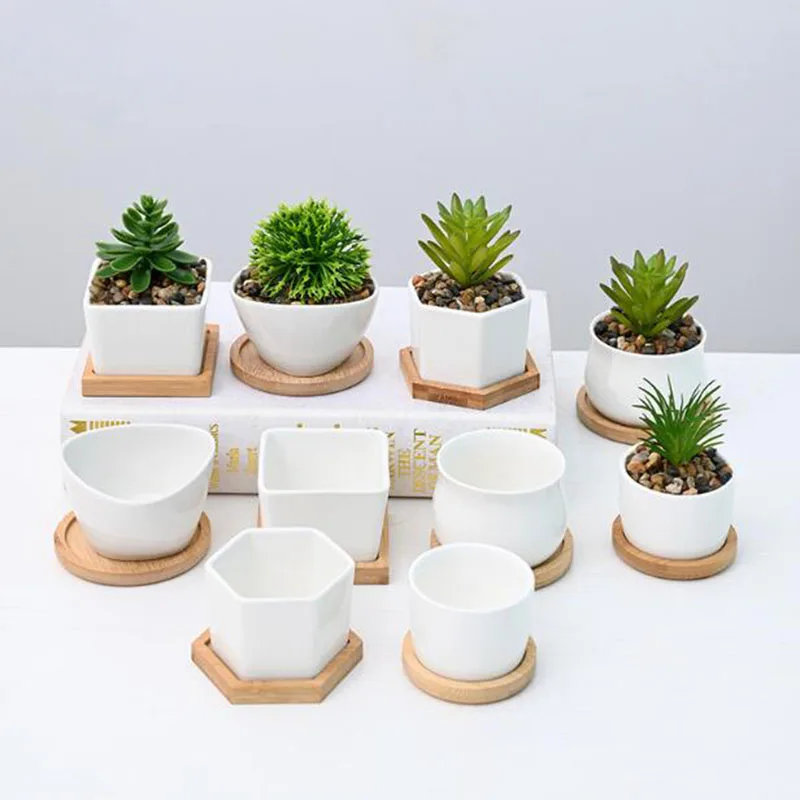 Porcelain Fleshy Plant Pot with A Tray White Color Many Kinds Shape Bonsai Vase Gardening Planter Home Decor