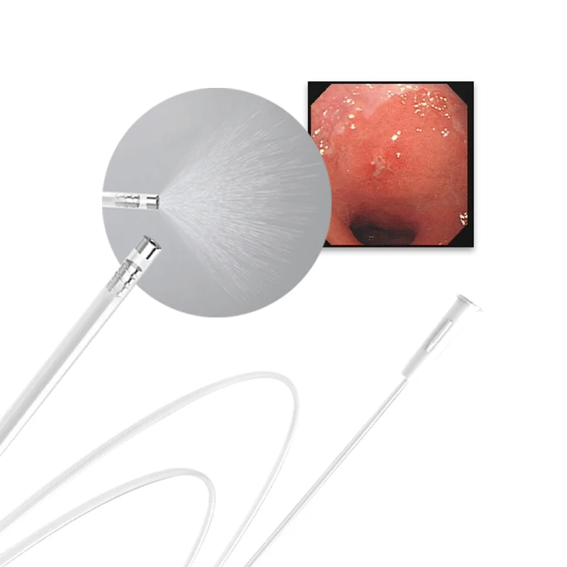 Disposable Endoscope Spray Catheter for Gastrointestinal Endoscopy