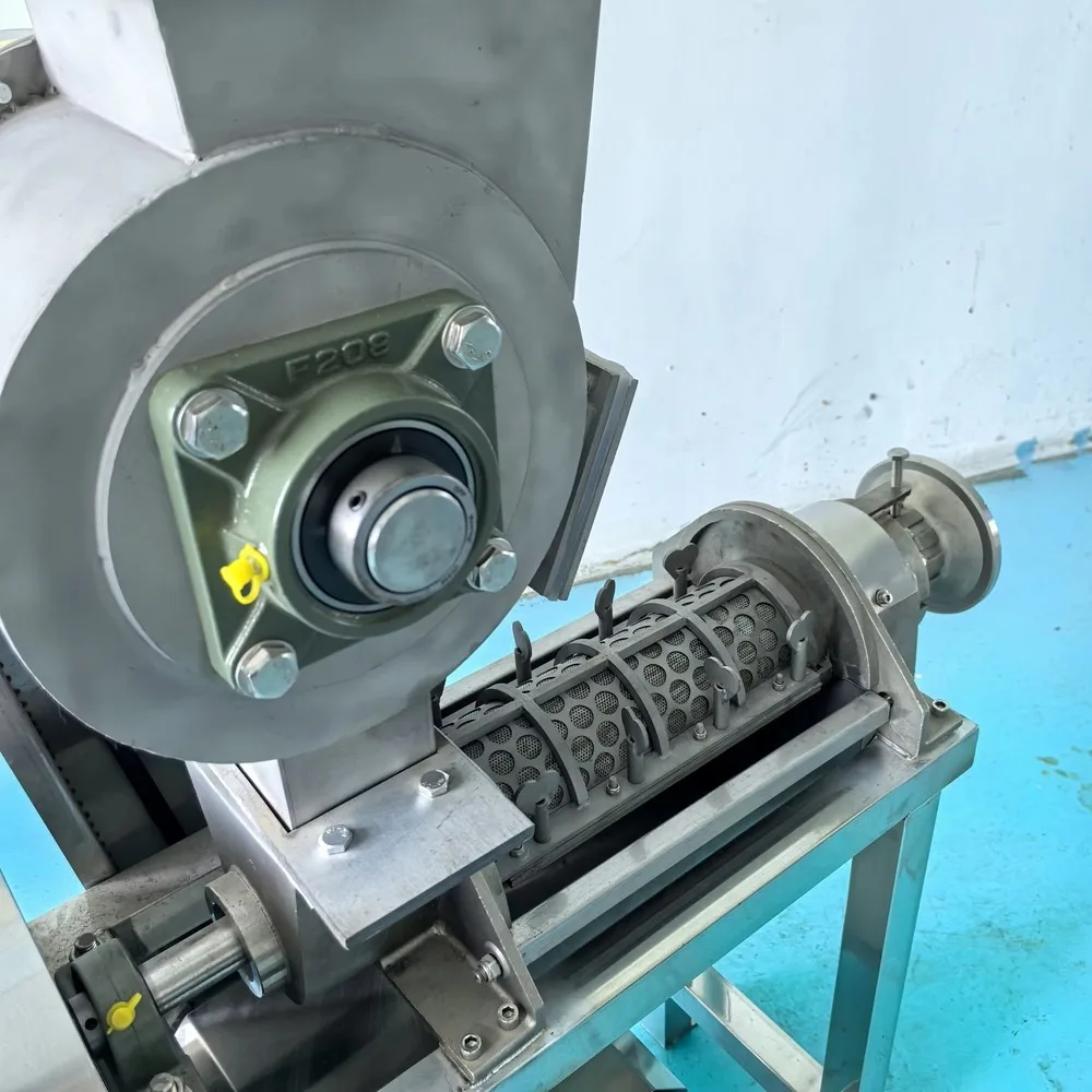 Commercial Slow Juicer Cold Press Fruit Orange Juicer Juice Making Machine with Crusher for Food Processing Plants