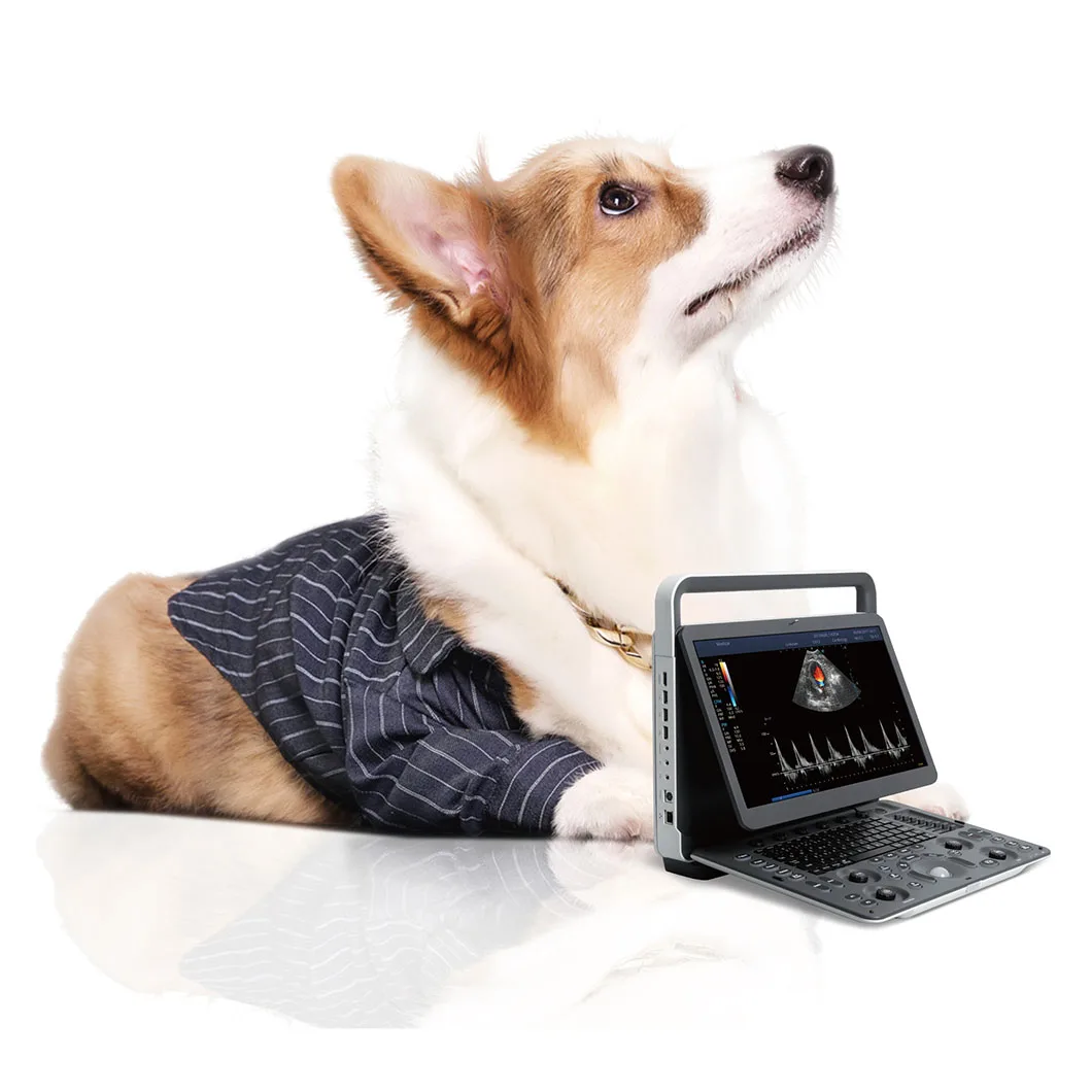 Veterinary Ultrasound Scanner Animal Ultrasound Machine Best Price Pet Clinic Portable Color