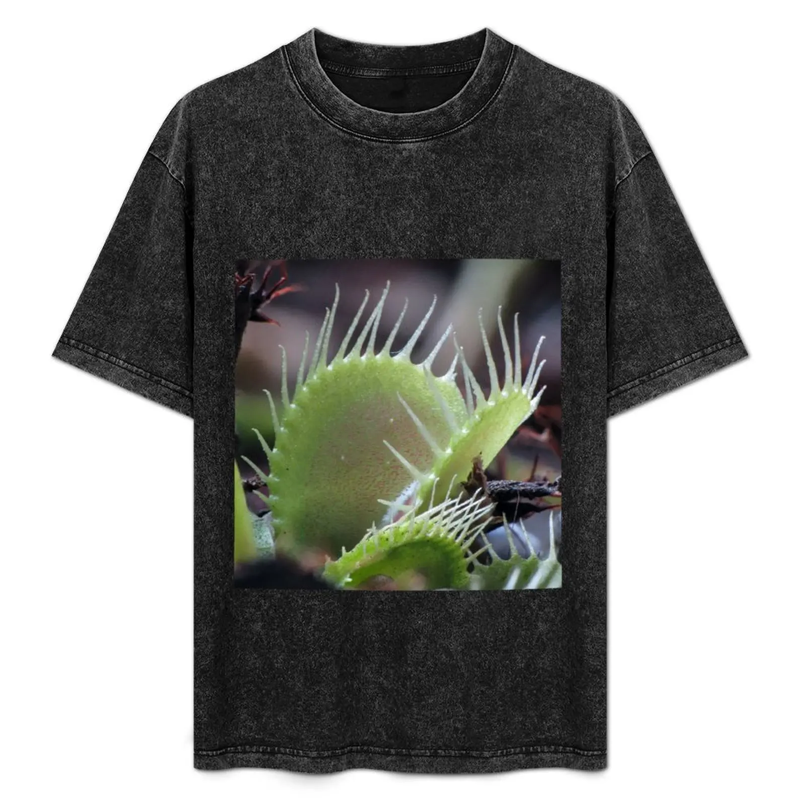 

Dionaea muscipula - Venus flytrap T-Shirt anime tshirt t shirts cotton 100% T-Shirt