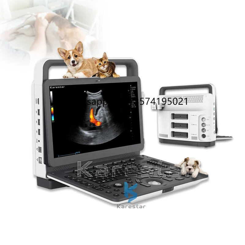 VET Manufacturer Price Laptop Ultrasound Machine Laptop Ultrasound Medical Ultrasound for Cat Dog