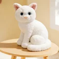 white cat sy