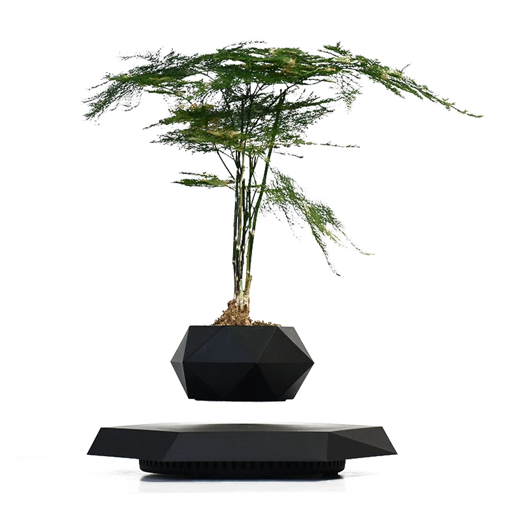 

2025 Rotating Plant Hot Sell Magnetic Floating Levitation Floating Plant for Decoration