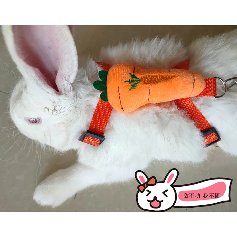 Rabbit Harness and Leash Set Adjustable for Small Animals Ferrets Piggies Hedgehogs Outdoor Walking Cute Decorations