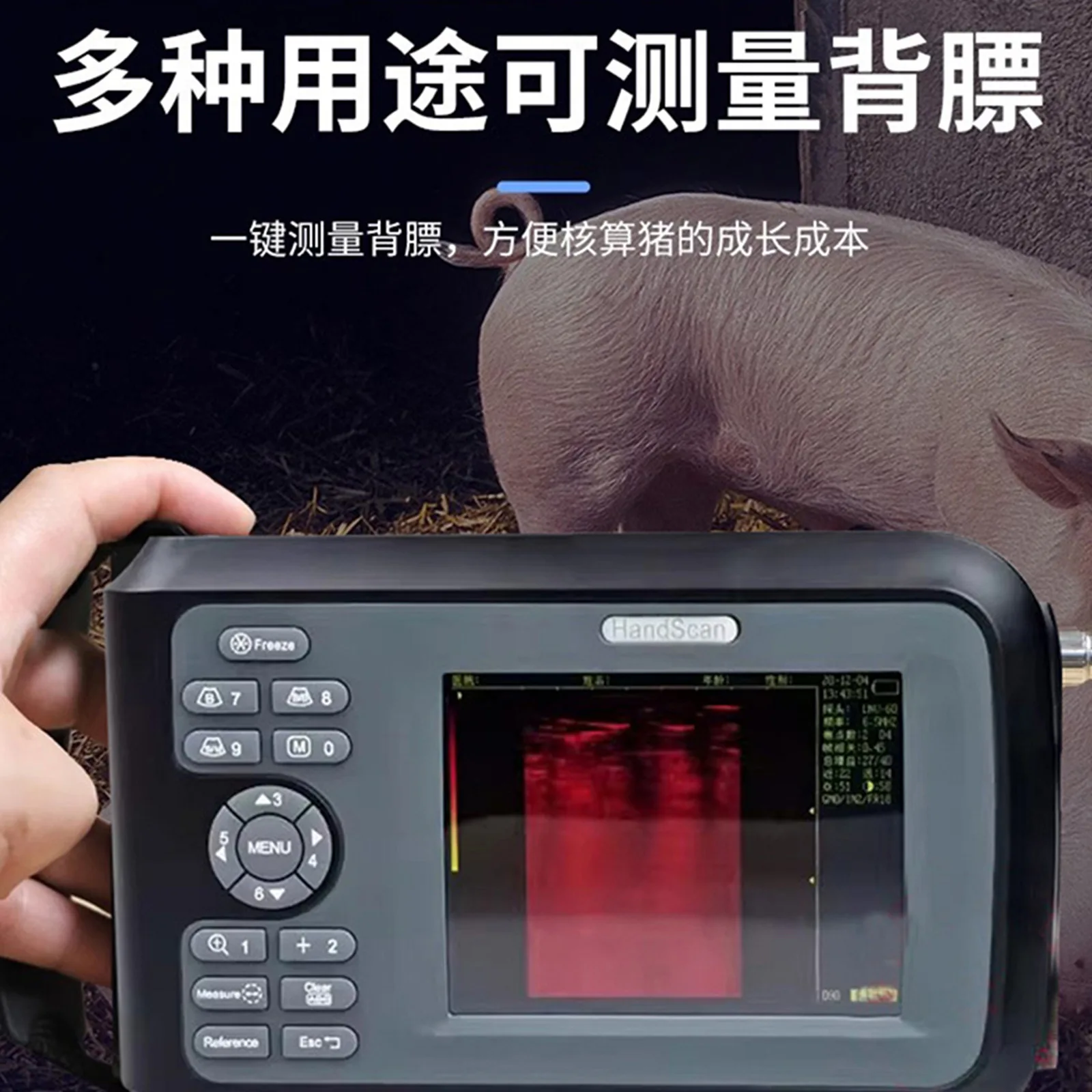 Machine livestock B-ultrasound pig and sheep pregnancy detection device handheld high-definition