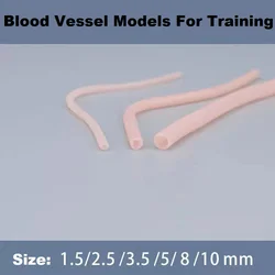 Human Blood Vessels Models Vascular Surgery Training Models for Training