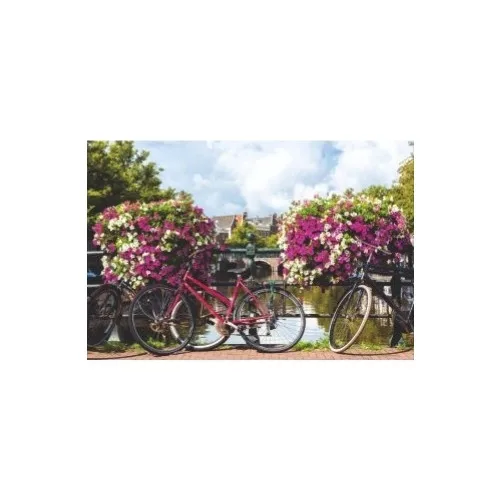 Man Games Bicycles Jigsaw Puzzle 1000 Piece