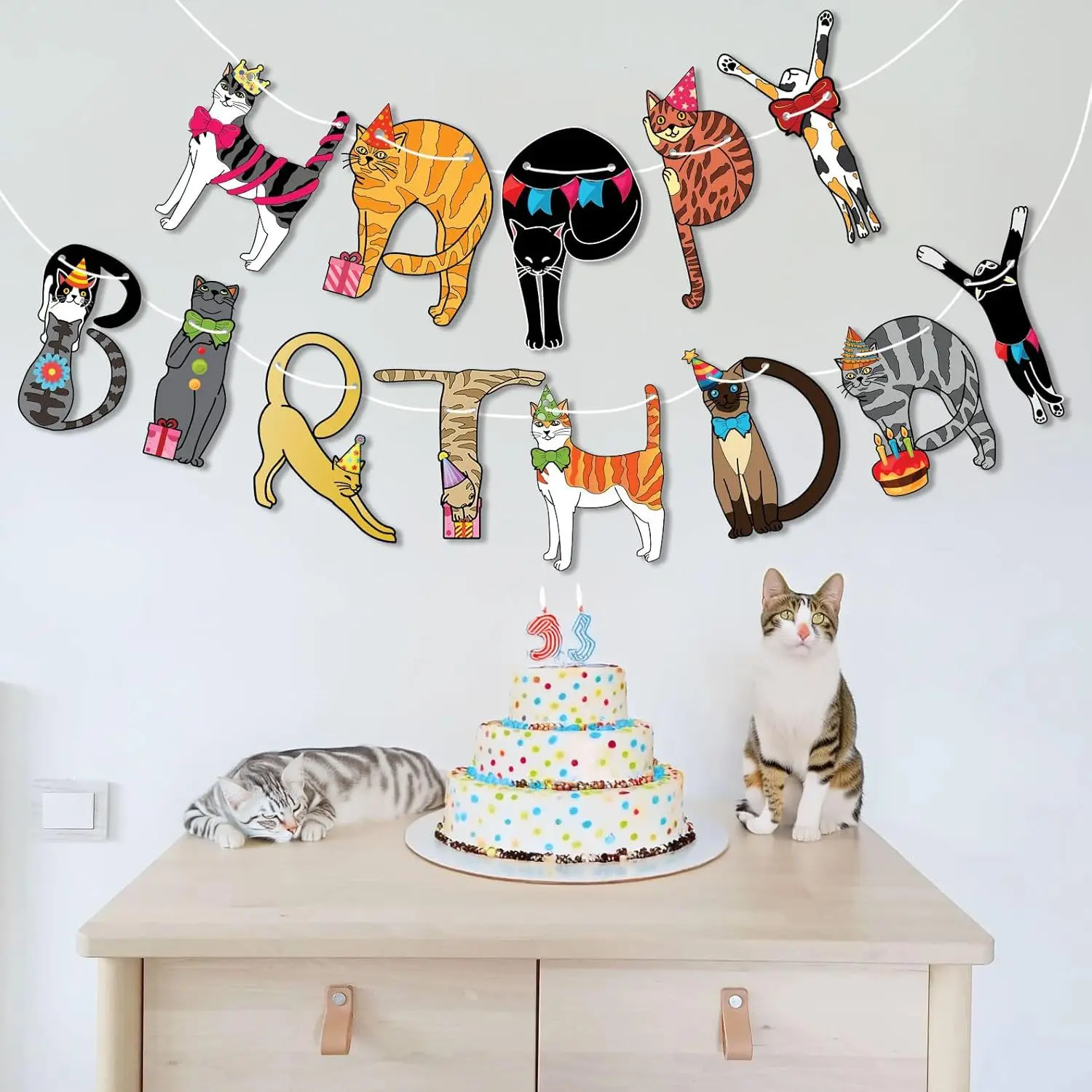 10sets Kitten Birthday Banner Flag Cat Themed Party Decorations