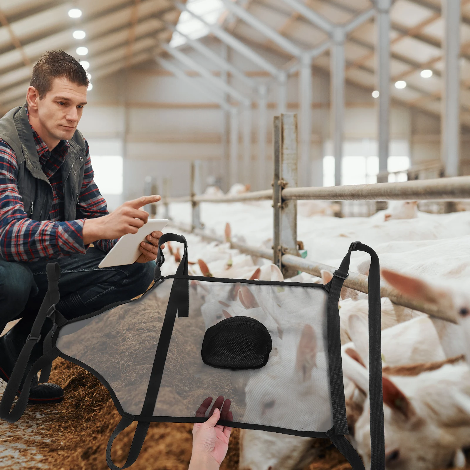 

Adjustable Sheep Goat Anti-Mating Apron Breathable Mesh Breeding Control Gear For Livestock Cow Horse Buck Anti Breeding Skirt