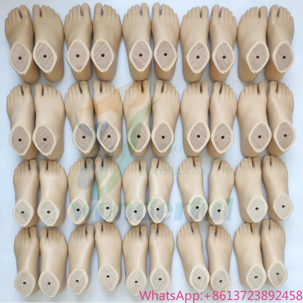 

High Quality Advanced Foot Prosthesis Artificial Limb Prosthetic Foot