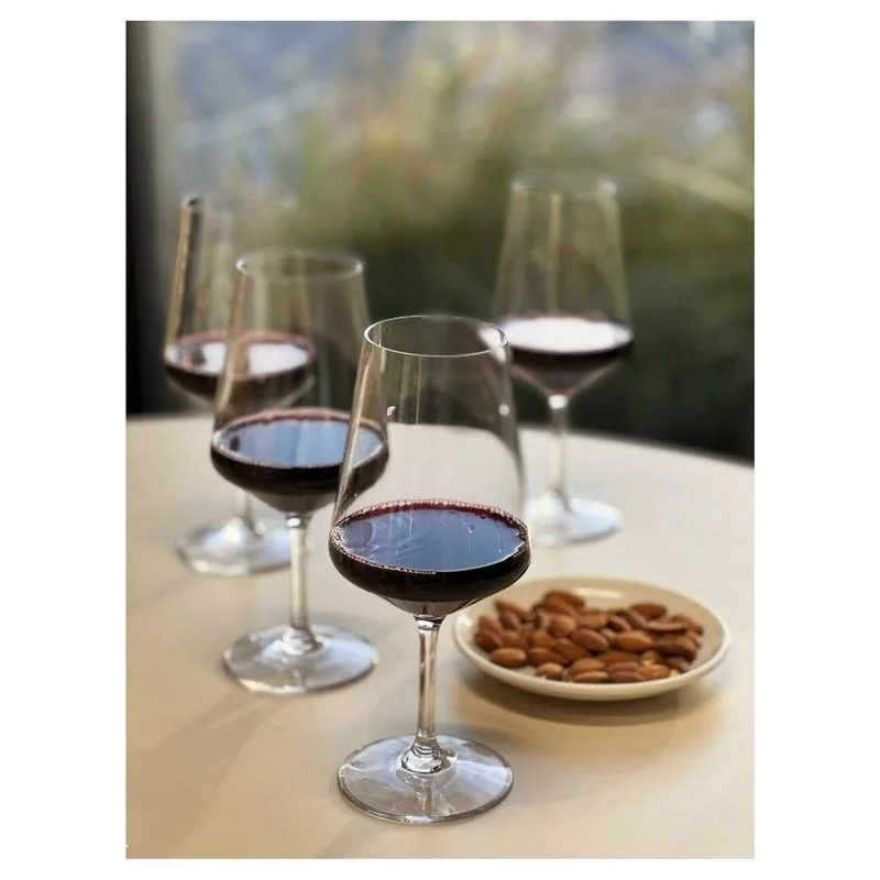 

BPA-Free Tritan Wine Glasses Set of 4 (19oz), Unbreakable Red & White Wine Glasses