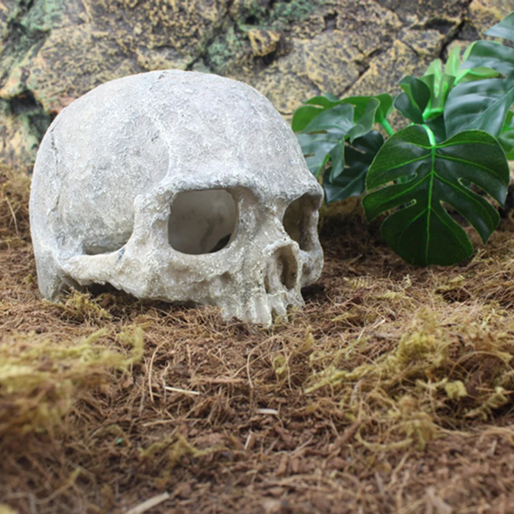 Resin Simulated Head Bone Skull Statue for Lizard Snake Spider Scorpion Cave Aquarium Fish Tank Landscape Decoration view 5
