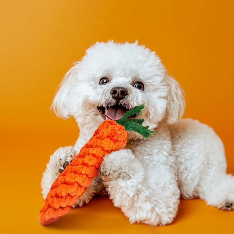 

Simulation carrot Dog Bite Rope Durable Braided Pet Dog Toys for Teeth Cleaning Pet toy supplies