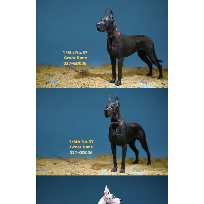 JXK 1/6 Maßstab Simulations-Haustier-Modell Deutscher Dogge Tierfigur aus Harz für 12-Zoll-Spielfiguren als Schreibtisch-Dekoration