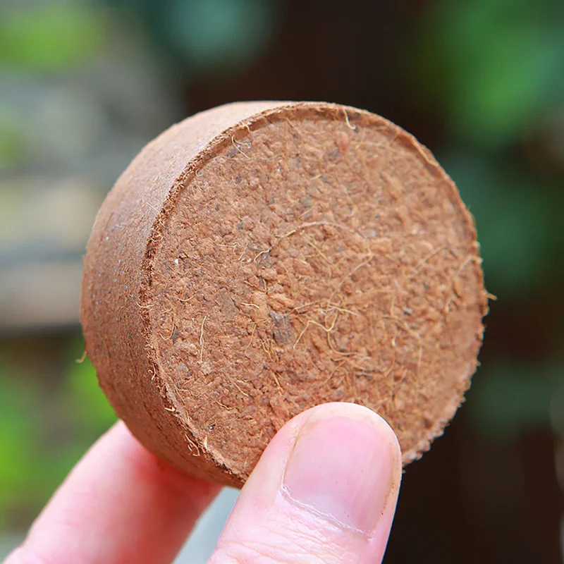 

5Pcs Compressed Coco Coir Fiber Potting Soil Plant Planting Coir Coconut Soil Bricks For Indoors Or Outdoors Bonsai Supplies