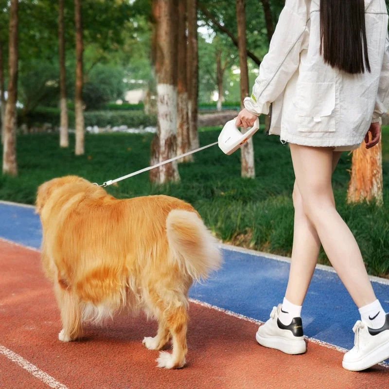 

2026New 5M Pet Dog Automatic Retractable Extending Rope Puppy Walking Running Traction Roulette for Small Big Dogs Cats