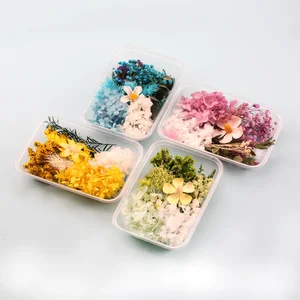 Real natural flowers for resin, artificial plants, home decoration, candle molds, craft tools, making accessories, 1 box 10 Main Sales Natural Dry Flowers - №7