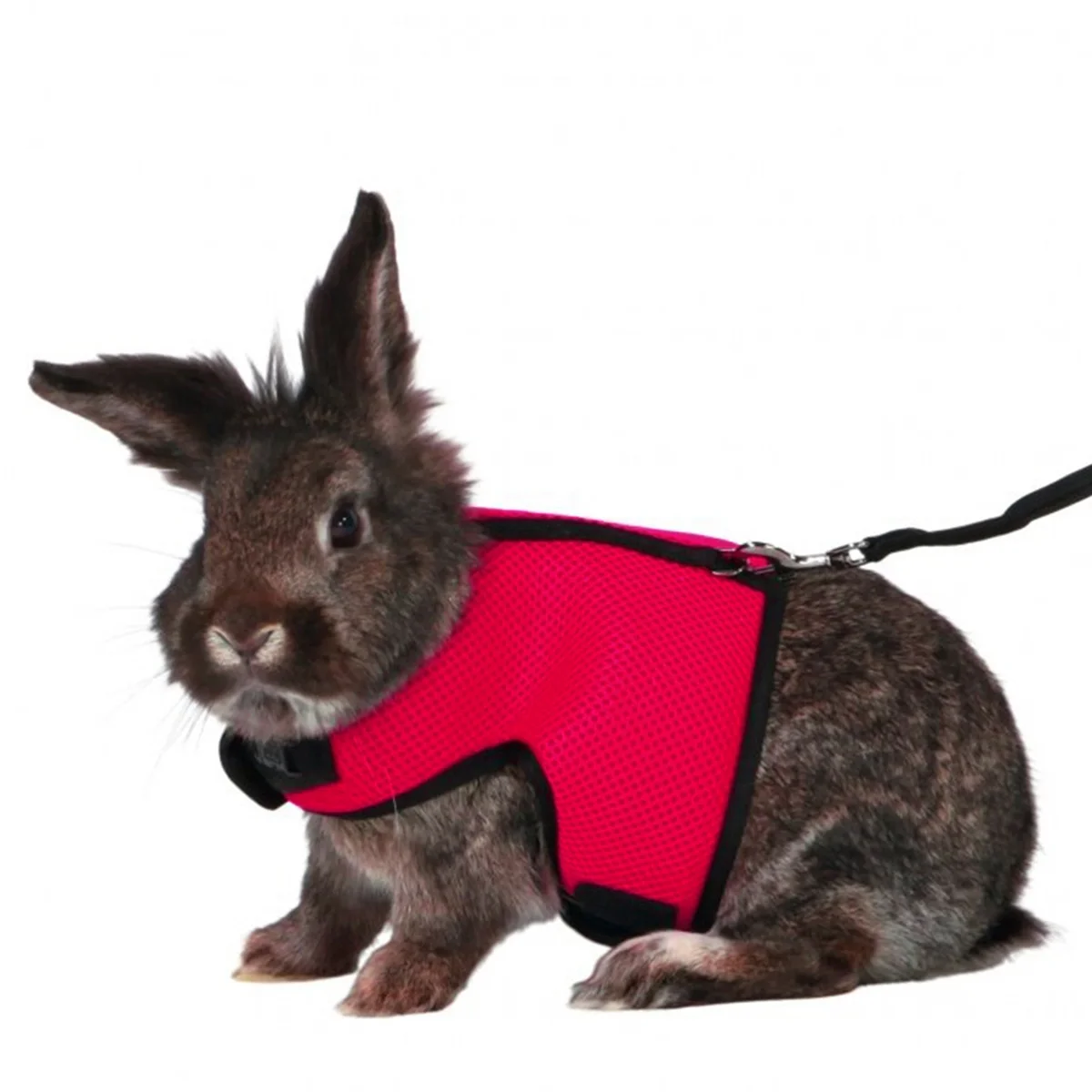 

Pet Rabbit Harness Leash Adjustable Ultra-Soft Breathable Bunny Leash For Walking Running Small Pets Size L Red
