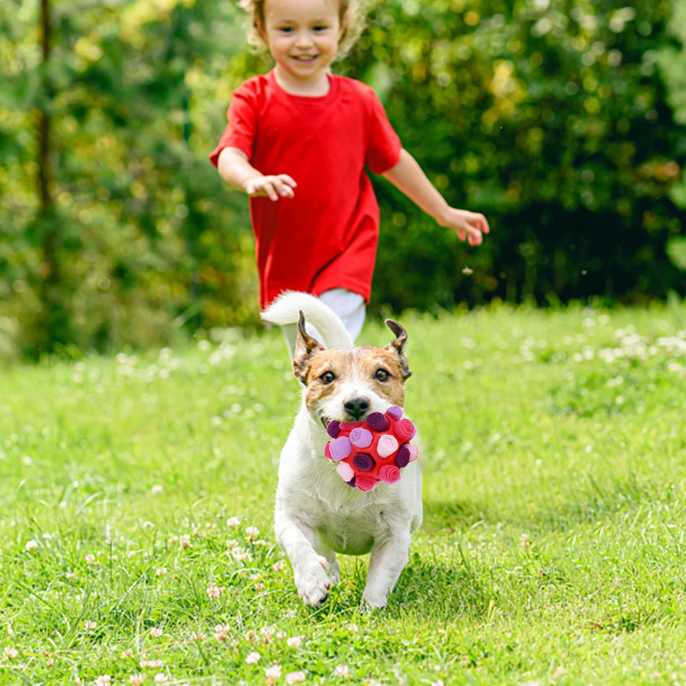 Dog Sniffing Ball To Hide Treats Inside 2