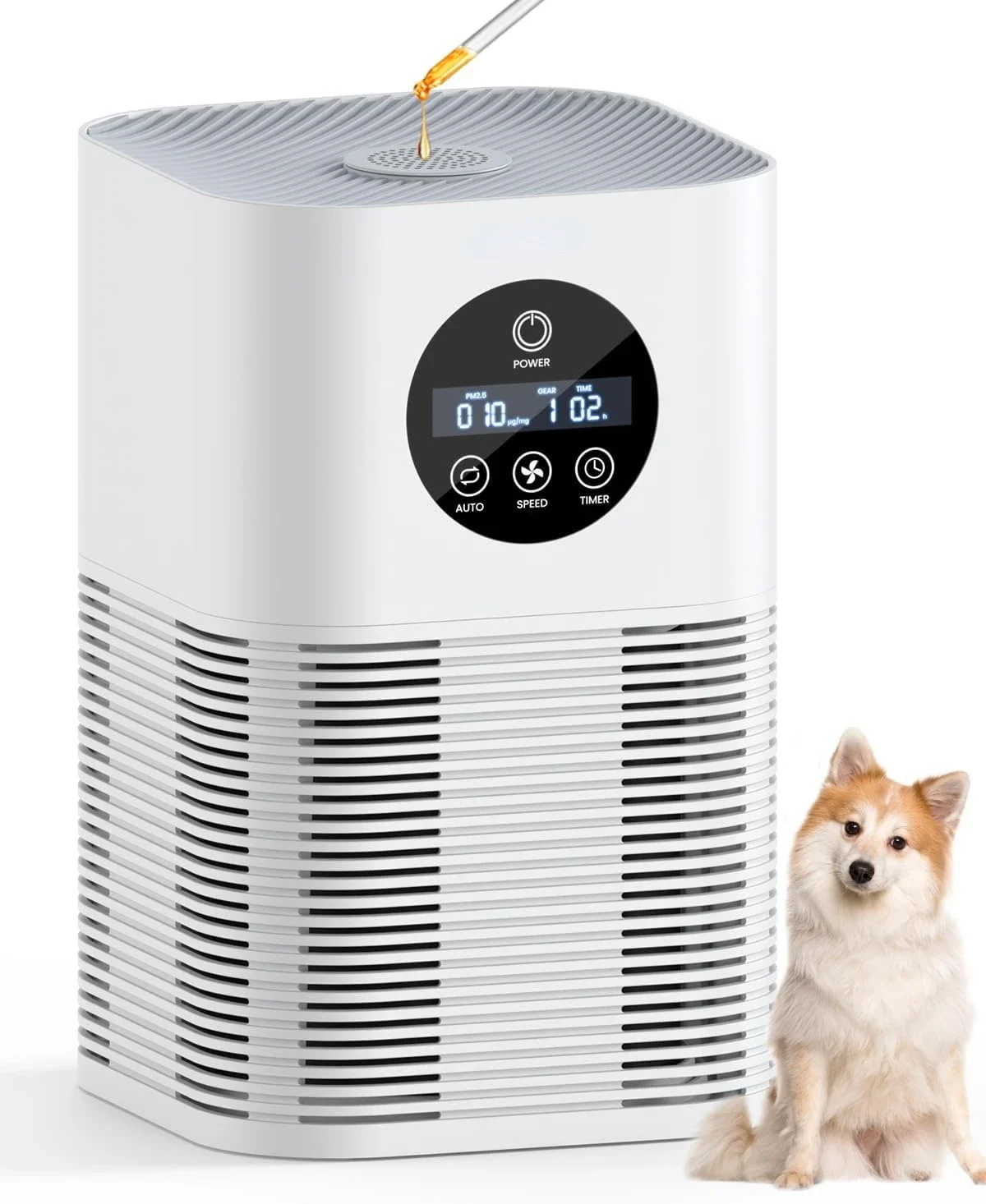 

Quiet Air Purifier with H13 True Hepa Filter for Pets, Smoke, Pollen - Powerful Air Purifier for Large Room up to 600 Ft² - 3 F