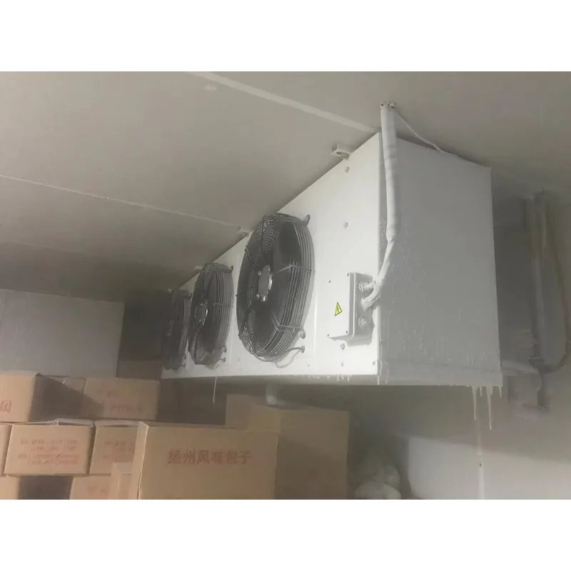 مخصصة منخفضة التكلفة المشي في الغرفة الباردة التخزين البارد للحوم الفاكهة الخضار والمأكولات البحرية