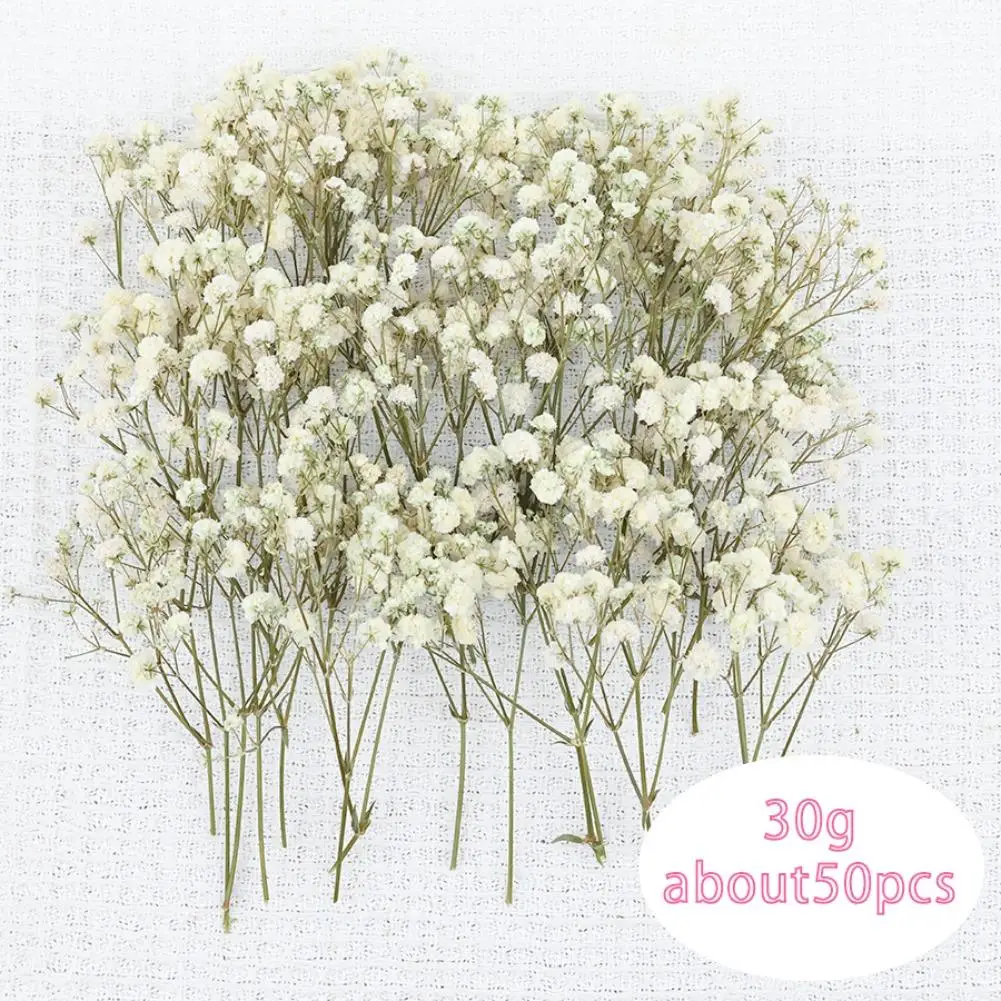 50 Uds Mini yeso conservado tallo verde blanco bebé aliento flores DIY boda decoración del hogar arreglo artesanal regalos a granel