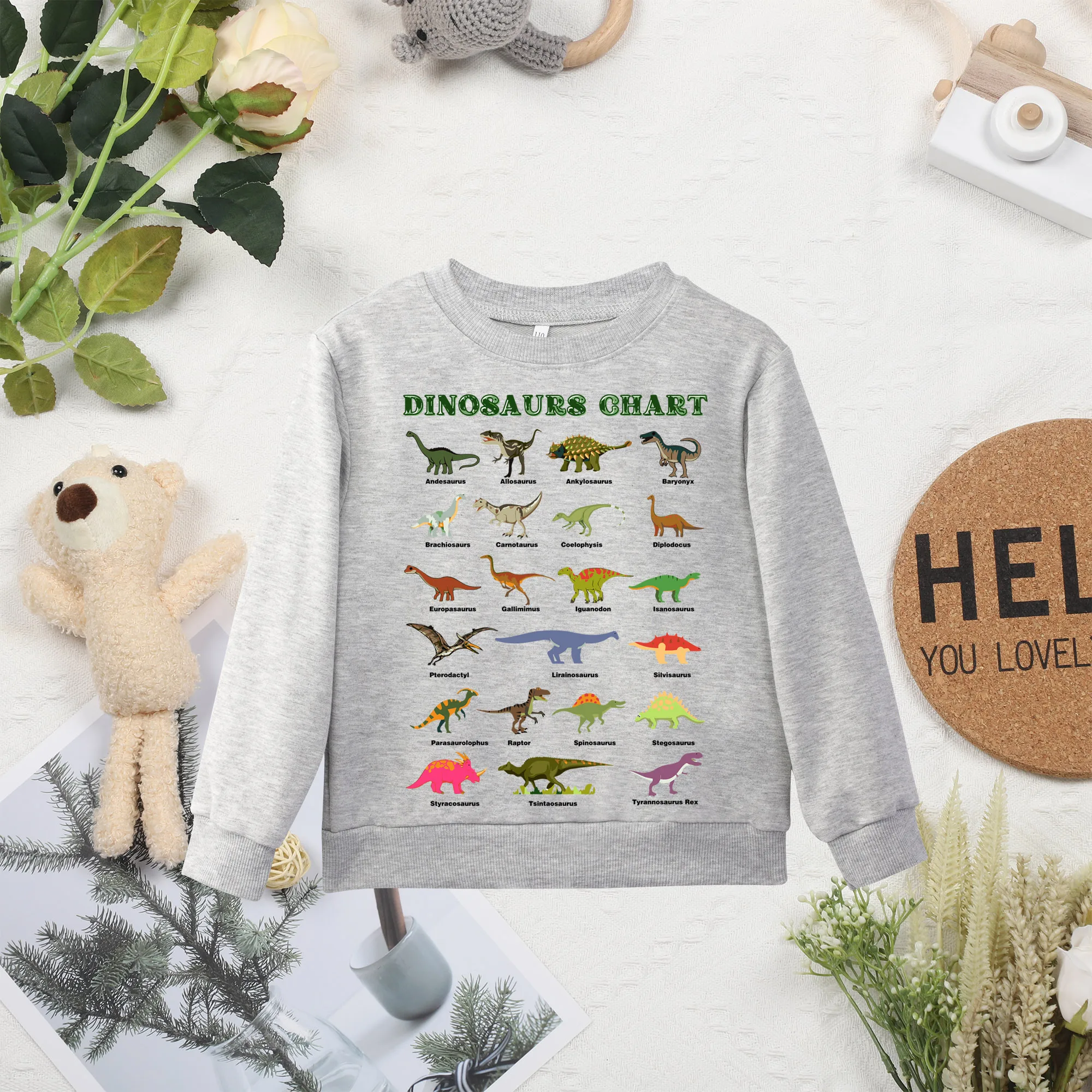 Dinosaur Illustrated Printed Sweater Minimalist Exquisite Comfortable Sweater Popular Casual Style Spring and Autumn Thin O-Neck