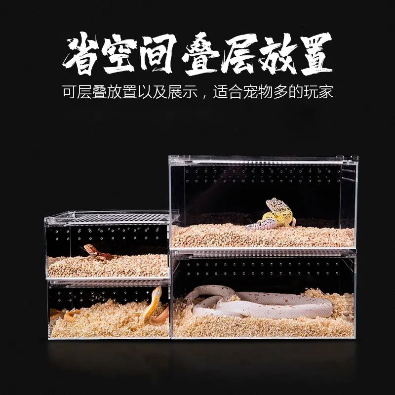 Reptile Acrylic Feeding Box Pet Box Spider Guardian Horned Frog Beetle Silkworm Baby Snake Reptile Pet Box