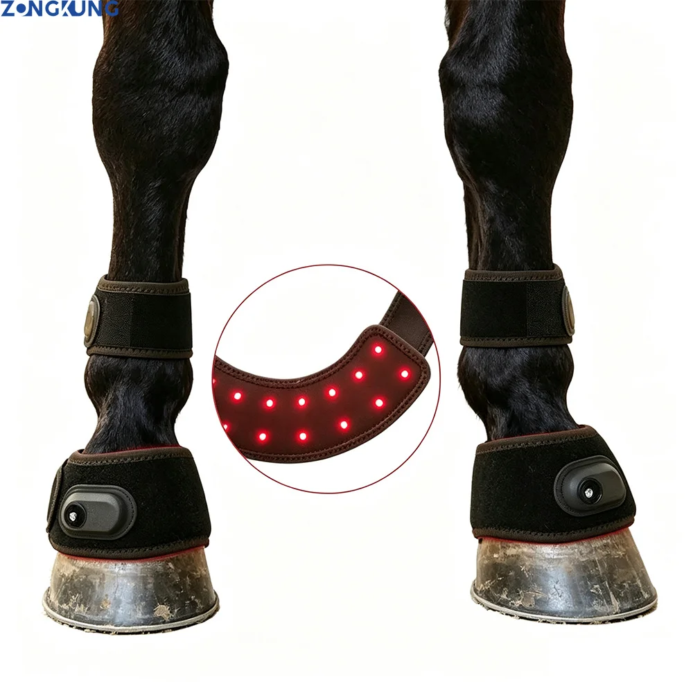 Veterinary Use Red Light LED Therapy Physiotherapy Equipment for Horse Pain Relief Pain Reduce